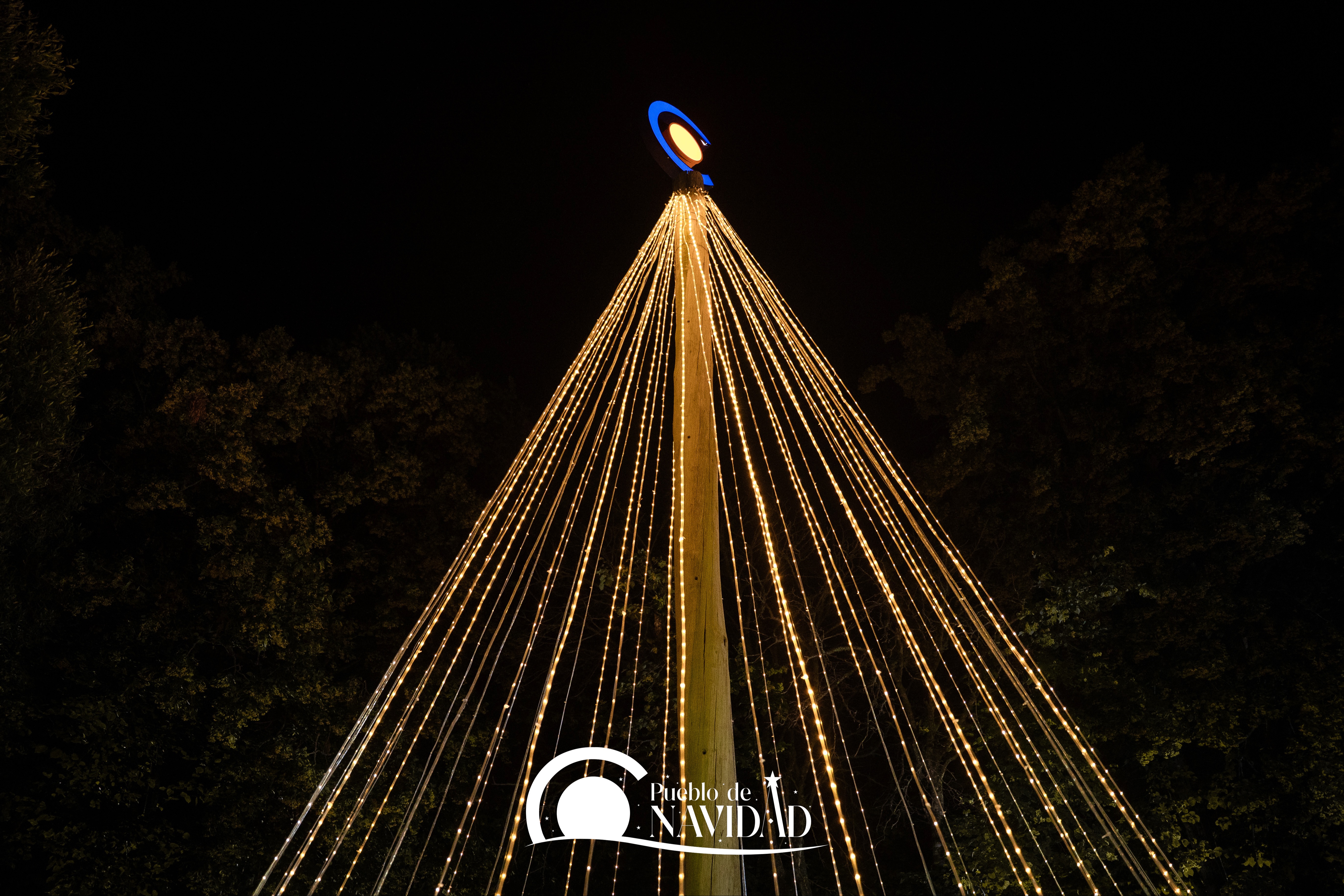 ENCENDIMOS EL ÁRBOL DE LA CAMARA 🎄✨